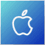 Native app development